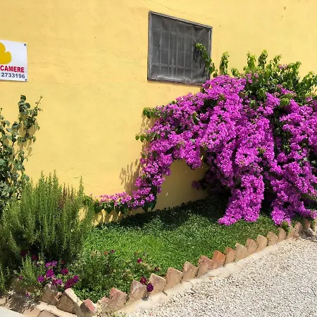 La Nana Gialla * Riotorto