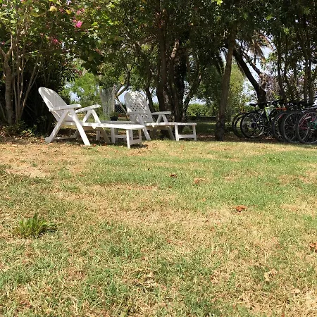Guest house La Nana Gialla *