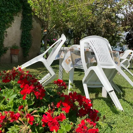 La Nana Gialla 리오토토