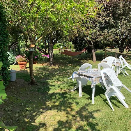 La Nana Gialla 리오토토