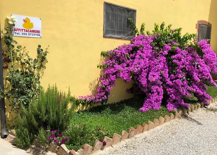 La Nana Gialla 3* ריוטורטו